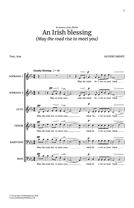 An Irish blessing (Oliver Tarney)